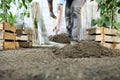 Woman plant in the vegetable garden, work by digging spring soil with shovel, near boxes full of green plants, closeup