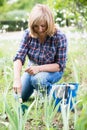 woman planting cornflag Royalty Free Stock Photo