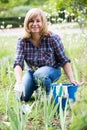 woman planting cornflag Royalty Free Stock Photo