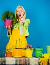 Woman planting flowers in pot. Watering flowers. Gardener woman planting flowers. Cute blonde gardening at Royalty Free Stock Photo