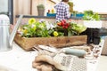 Woman Planting Rooftop Garden Royalty Free Stock Photo