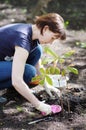 Woman planting seedling, focus on woman Royalty Free Stock Photo