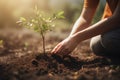 Woman planting seedlings into soil, volunteer working with saplings, generative AI