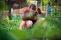 Woman planting seedlings of various vegetables in the garden
