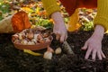 Woman planting tulip bulbs in a flower bed during a beautiful sunny autumn afternoon. Growing tulips. Fall gardening. Royalty Free Stock Photo