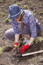 Woman planting wegetables