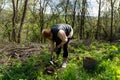 Reforestation Initiative: Planting Chestnut Trees