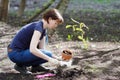 Woman planting young seedling Royalty Free Stock Photo