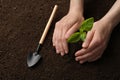 Woman planting young seedling into soil. Gardening time Royalty Free Stock Photo