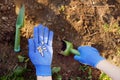 Woman plants pea seeds in bed in the garden at summer sunny day. Gardener hands, garden tools, gloves and pea seeds close-up