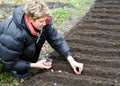 Woman plants tulips