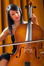 Woman playing cello Royalty Free Stock Photo