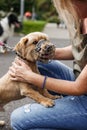 Woman playing with cute terrier at street