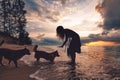 Woman playing with dogs on the beach at sunset