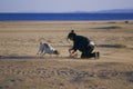 Woman playing with her dogs on a beach