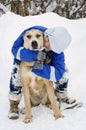 Woman playing with his dog central Asian shepherd outdoors. Vertical photography