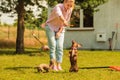 Woman playing pinscher ratter dog outside