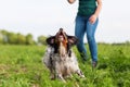 Woman plays with a Brittany dog