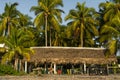 Woman plays guitar at beach house full of palm trees. Royalty Free Stock Photo