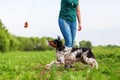 Woman plays with her dog with a flirt tool