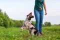 Woman plays with her dog with a flirt tool