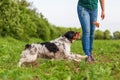 Woman plays with her dog with a flirt tool