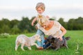 Woman plays with her son and two small dogs Royalty Free Stock Photo