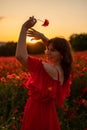 Woman poppy field red dress sunset. Happy woman in a long red dress in a beautiful large poppy field. Blond stands with Royalty Free Stock Photo
