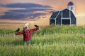 Woman posing as scarecrow in field