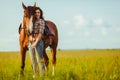 Woman posing with horse Royalty Free Stock Photo