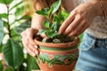 woman potting a houseplant into a painted clay pot