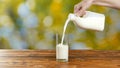 Woman pouring fresh milk into a glass on green background