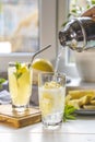 Woman pouring grapefruit gin and tonic cocktail in the glass on the white table near window in the sunny falltime. Selective focus