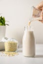 Vegan green buckwheat milk in glass, plant based milk replacer. Royalty Free Stock Photo