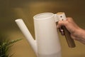 Woman pouring plant with water can. Close-up