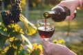 Woman pouring red wine from bottle into drinking glass at vineyard Royalty Free Stock Photo