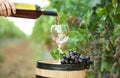 Woman pouring red wine into glass on barrel Royalty Free Stock Photo