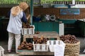 Woman pouring snake fruit or buah salak or sallacca to cart