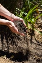 Woman pouring soil in garden Royalty Free Stock Photo