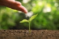 Woman pouring water on young seedling in soil against blurred background, closeup Royalty Free Stock Photo