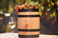 Woman pouring white wine into glass on table outdoors Royalty Free Stock Photo