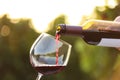 Woman pouring wine from bottle into glass, closeup Royalty Free Stock Photo