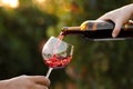 Woman pouring wine from bottle into glass outdoors Royalty Free Stock Photo