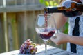 woman pouring wine into glass, grape bunch nearby