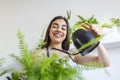 woman pours water into a flower pot, she cares for house plants. Young woman watering her plants