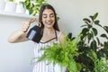 woman pours water into a flower pot, she cares for house plants. Young woman watering her plants