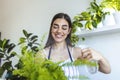 woman pours water into a flower pot, she cares for house plants. Young woman watering her plants