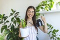 woman pours water into a flower pot, she cares for house plants. Young woman watering her plants