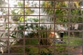 Girl doing yoga in the backyard of the house