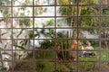 Girl doing yoga in the backyard of the house